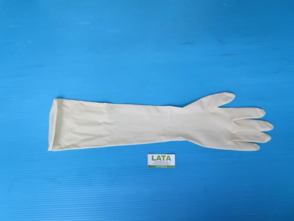 Latex Long  Găng tay E131-M